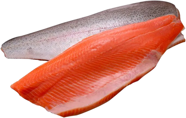 Salmão